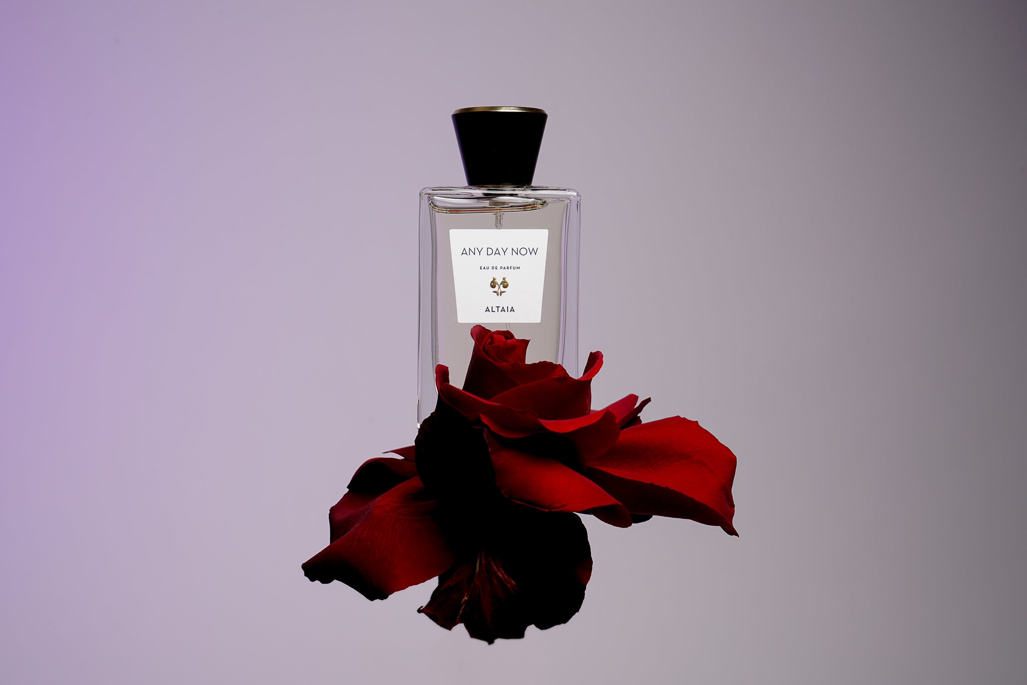 Altaia "Any Day Now" Eau de Parfum - 100ml