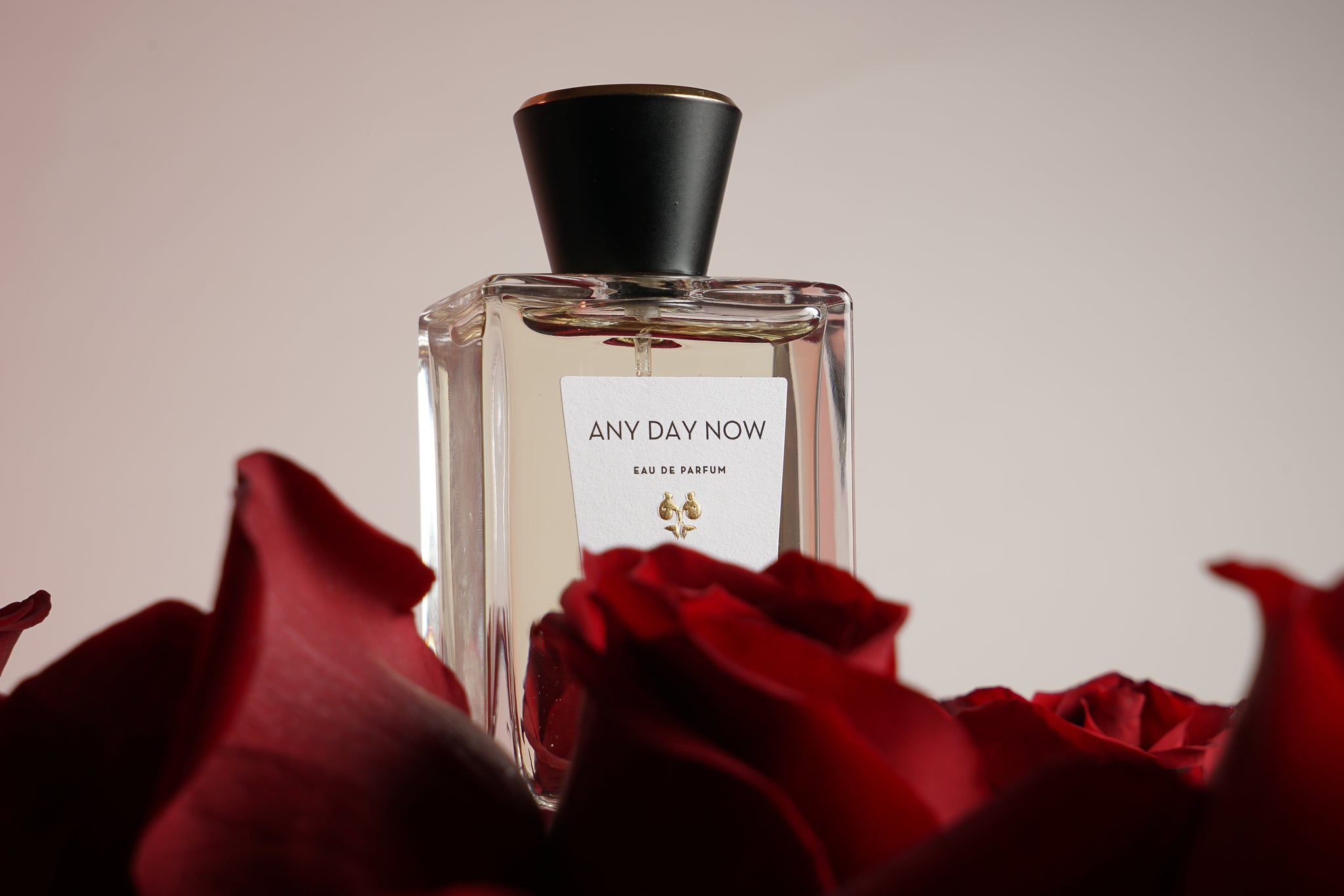 Altaia "Any Day Now" Eau de Parfum - 100ml